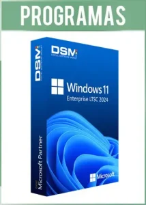 Windows 11 24H2 IoT Enterprise LTSC 2024 Build 26100 Full Español
